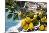 Amalfi Coast Citrus Fruit, Positano, Italy-George Oze-Mounted Photographic Print