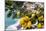 Amalfi Coast Citrus Fruit, Positano, Italy-George Oze-Mounted Photographic Print