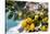 Amalfi Coast Citrus Fruit, Positano, Italy-George Oze-Stretched Canvas