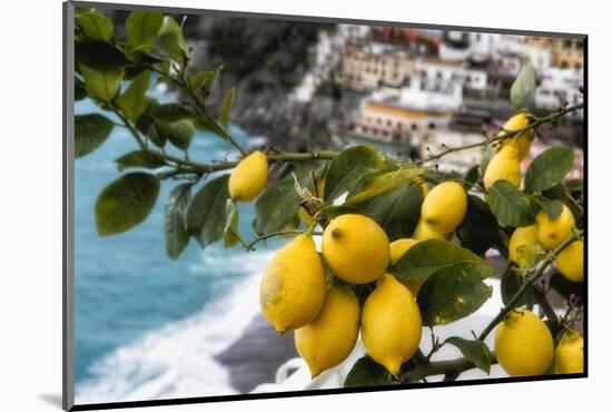 Amalfi Coast Citrus Fruit, Positano, Italy-George Oze-Mounted Photographic Print