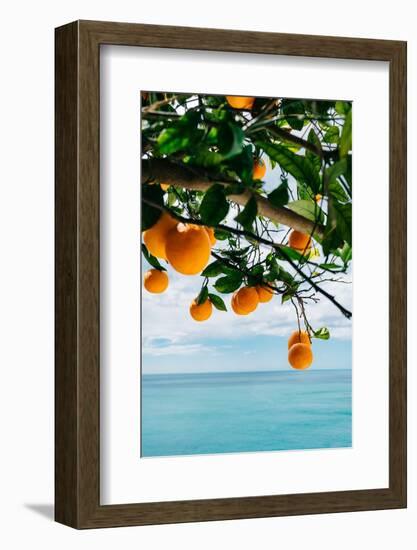 Amalfi Coast Oranges IV-Bethany Young-Framed Photographic Print