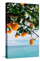 Amalfi Coast Oranges IV-Bethany Young-Stretched Canvas