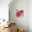Amalfi Poppies-Paul Brent-Art Print displayed on a wall