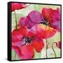 Amalfi Poppies-Paul Brent-Framed Stretched Canvas