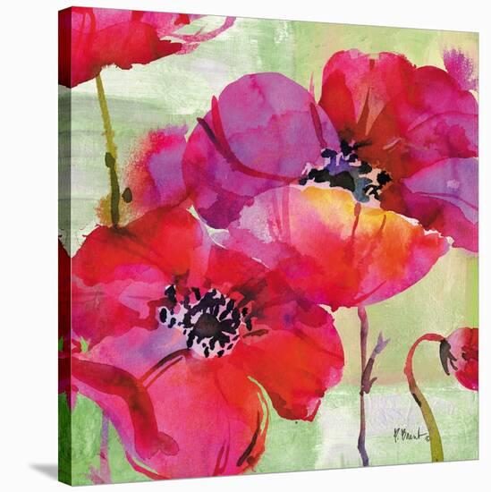 Amalfi Poppies-Paul Brent-Stretched Canvas