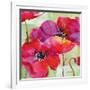 Amalfi Poppies-Paul Brent-Framed Art Print