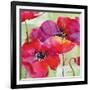 Amalfi Poppies-Paul Brent-Framed Art Print