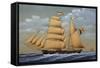 Amalia, Brig Schooner, Italy, 19th Century-null-Framed Stretched Canvas