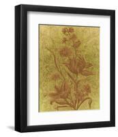 Amalia Tulips-Mali Nave-Framed Art Print