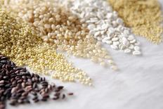 Grain Still Life: Brown Rice, Millet, Rice, Pearl Barley, Amaranth-Amana Images Inc.-Framed Stretched Canvas