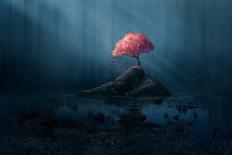 A Single Pink Tree in a Dark Blue Forest.-Amanda Carden-Laminated Premium Giclee Print