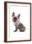 Brown Frame