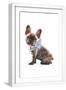 White Frame