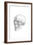 Brown Frame