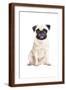 Brown Frame