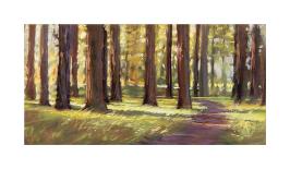 Forest Shade-Amanda Houston-Framed Giclee Print