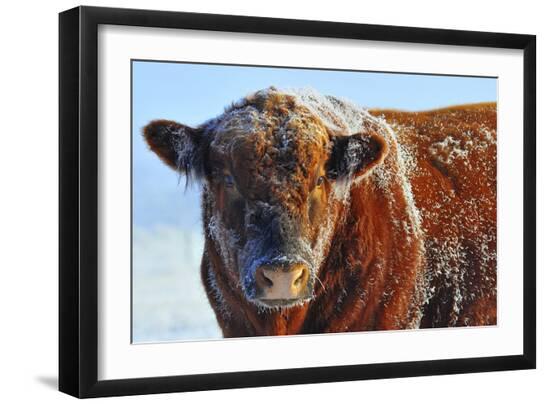 Premium Photographic Print, , large