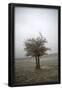 Essential Black