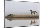 Wood Mount