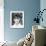 Amanda Pays-null-Framed Photo displayed on a wall