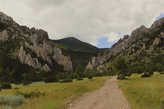 Photographic Print, , large