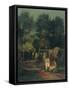 Framed Canvas