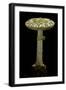 Amanita Citrina (False Death Cap, Citron Amanita)-Paul Starosta-Framed Photographic Print