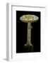 Amanita Citrina (False Death Cap, Citron Amanita)-Paul Starosta-Framed Photographic Print