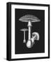 Amanita Muscaria Dark Background BW-John Stephenson and James Morss Churchill-Framed Giclee Print