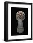 Amanita Muscaria (Fly Agaric)-Paul Starosta-Framed Photographic Print