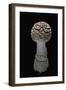 Amanita Muscaria (Fly Agaric)-Paul Starosta-Framed Photographic Print