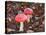 Amanita Muscaria-ermess-Stretched Canvas