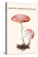 Amanita Poisonous Toadstool-L. Dufour-Stretched Canvas