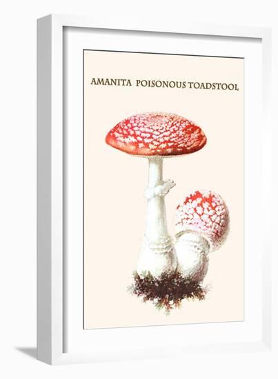 Amanita Poisonous Toadstool-L. Dufour-Framed Art Print