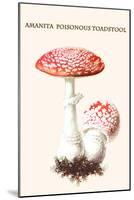 Amanita Poisonous Toadstool-L. Dufour-Mounted Art Print