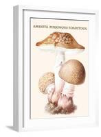 Amanita Poisonous Toadstool-L. Dufour-Framed Art Print