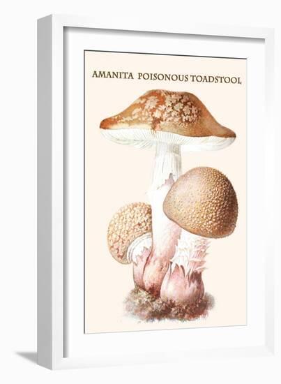 Amanita Poisonous Toadstool-L. Dufour-Framed Art Print