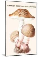 Amanita Poisonous Toadstool-L. Dufour-Mounted Art Print