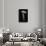 Amanita Rubescens (Blusher)-Paul Starosta-Photographic Print displayed on a wall