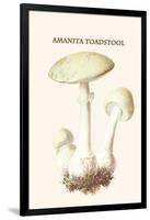 Amanita Toadstool-Edmund Michael-Framed Art Print