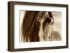 Amante-Lisa Dearing-Framed Photographic Print