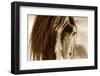 Amante-Lisa Dearing-Framed Photographic Print