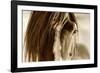 Amante-Lisa Dearing-Framed Photographic Print