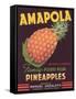 Amapola Pineapple Label - Corozal, PR-Lantern Press-Framed Stretched Canvas