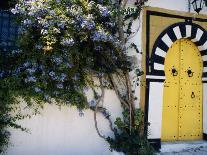 Tunis, Sidi Bou Said, A Decorative Doorway of a Private House, Tunisia-Amar Grover-Photographic Print