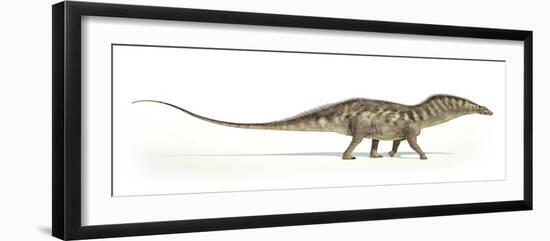 Amargasaurus Dinosaur, Artwork-null-Framed Photographic Print