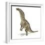 Amargasaurus Dinosaur, Artwork-null-Framed Photographic Print