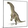 Amargasaurus Dinosaur, Artwork-null-Mounted Photographic Print