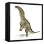 Amargasaurus Dinosaur, Artwork-null-Framed Stretched Canvas