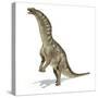 Amargasaurus Dinosaur, Artwork-null-Stretched Canvas